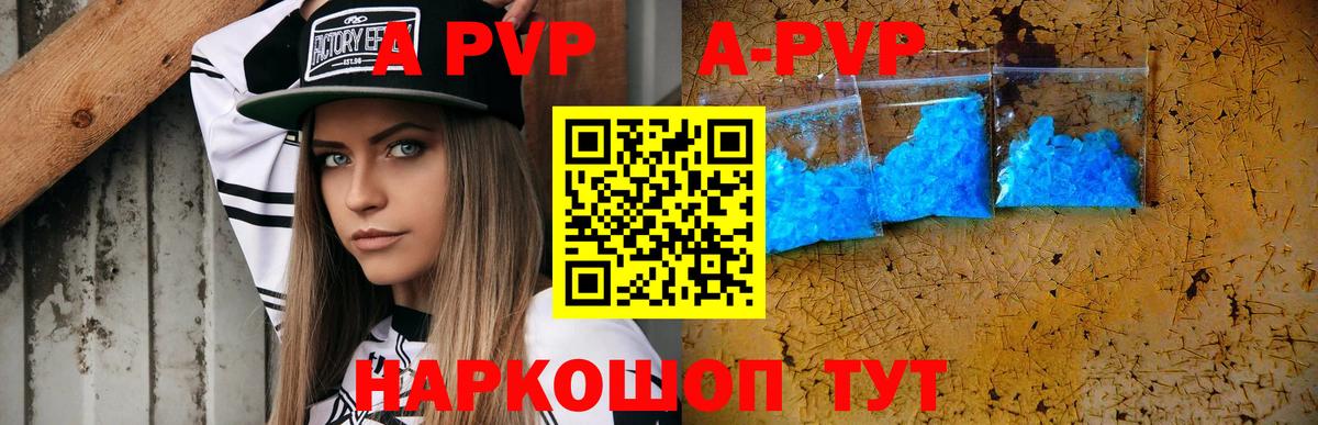 A-PVP СК КРИС Славгород