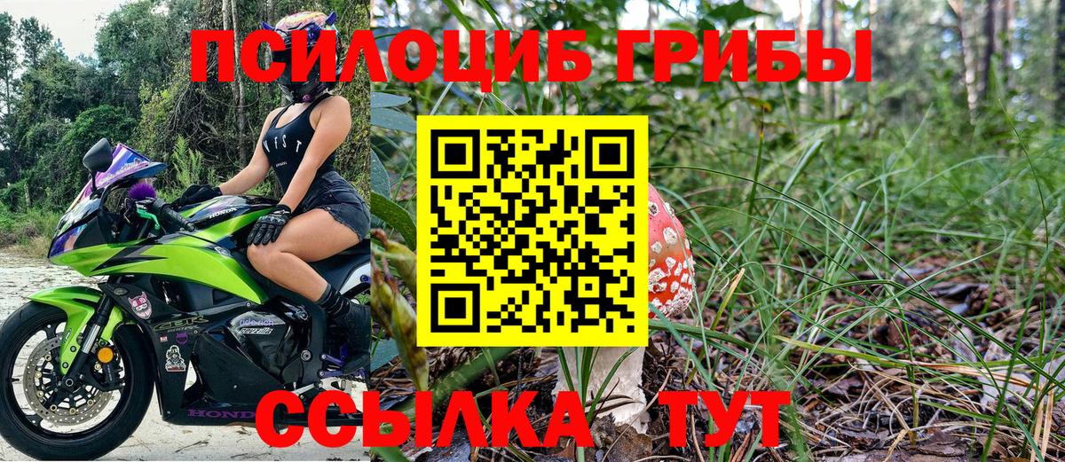 Галлюциногенные грибы MAGIC MUSHROOMS Славгород