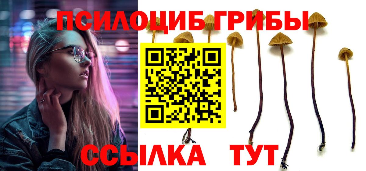 Галлюциногенные грибы Psilocybine cubensis  Вход с VPN  Славгород 