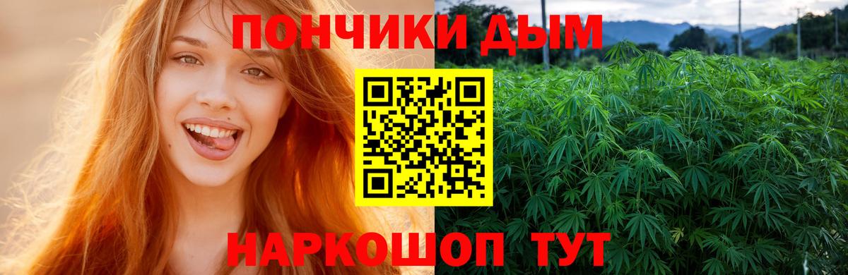 Бошки марихуана планчик  Шишки марихуана Amnesia  Бошки Шишки SATIVA & INDICA  Славгород  Вход с VPN 
